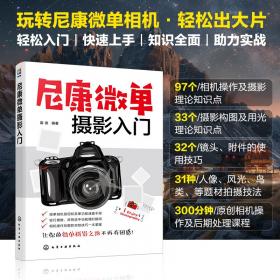 尼康Nikon D3200说明书没讲透的使用技巧（全彩）