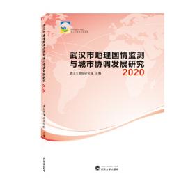 武汉市地理国情监测与城市协调发展研究——2019