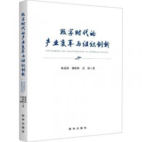 数字经济与网络内容治理案例研究/网络文化管理丛书