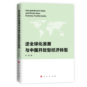 国内价值链分工与区域经济协调发展研究（国家社科基金丛书—经济）