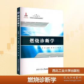 燃烧的岛群(上下)：宋宜昌二战军史小说系列