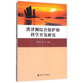 洪泽湖的故事--雄鹰/红色经典阅读书系