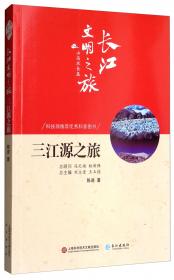 国家“十二五”重点图书：长江演变与水资源利用