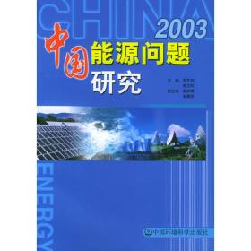 2020中国可持续能源情景