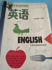 首届“外教社杯”全国大学英语教学大赛总决赛获奖教师教学风采 综合组