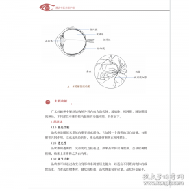 漫话我当混凝土工