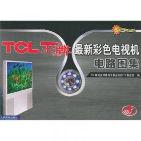 TCL王牌彩色电视机电路图集.第5集