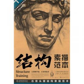 造型基础训练方法丛书·素描石膏像结构训练法：结构训练法（3）（黄金典藏版）