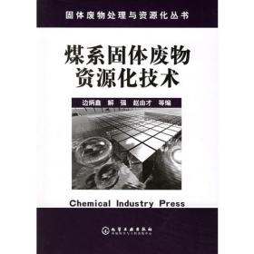 煤系固体废物资源化技术(第2版)固体废物处理与资源化丛书 