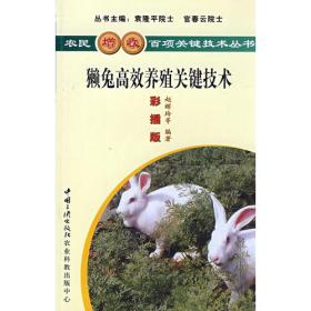 獭兔高效益饲养技术(修订版)