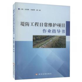 堤防工程钢板桩围堰技术标准(DG\\TJ08-2341-2020J15427-2020)/上海市工