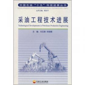 中国南方海相页岩气高效开发理论与实践