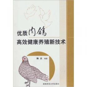 肉鸽养殖手册