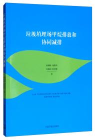 中国碳市场与环境影响研究