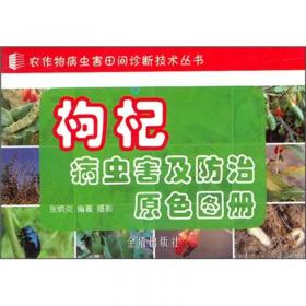 玉米病虫害及防治原色图册