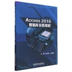 Access2007数据库管理从新手到高手