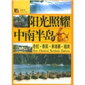 青花瓷,青白间的中国瓷器史/中国人文标识系列