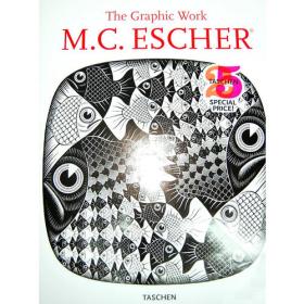 M.C.埃舍尔的魔镜