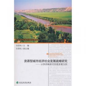 远望中国发展——十大领域的战略分析 中国式现代化行动指南 张国有