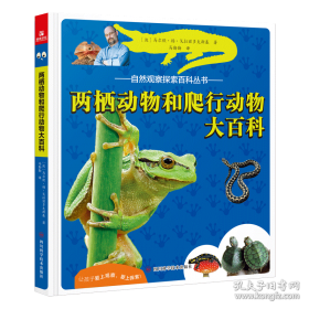 两栖战：战略·战术·战例