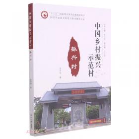振兴祖国数学的圆梦之旅：中国初等数学研究史话
