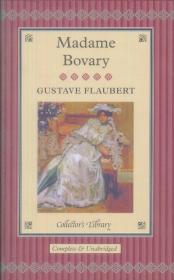 Madame Bovary[包法利夫人]
