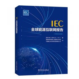 IEC61968与智能电网：电力企业应用集成标准的应用