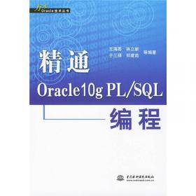 Oracle10g数据库Java开发