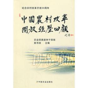 失衡的中国：农村城市化的过去、现在与未来