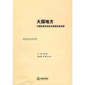 大国地方：中国中央与地方关系宪政研究