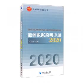 能源数据简明手册2019