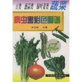 芹菜优质高产栽培（第2版）