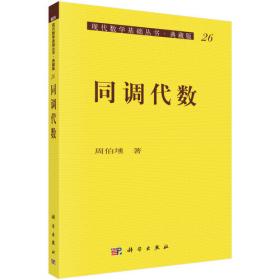 现代数学基础丛书·典藏版64：金兹堡 朗道方程