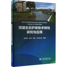 河湖水下抛石护岸工程综合物探数值模拟与应用