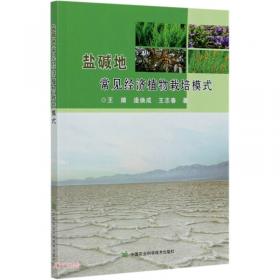 盐碱水绿色养殖技术模式/绿色水产养殖典型技术模式丛书