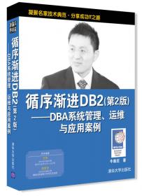 循序渐进DB2 DBA系统管理、运维与应用案例（第3版）