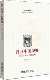 人文学的想象力：当代中国思想文化与文学问题