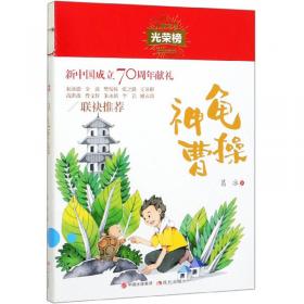 新中国成立70周年儿童文学经典作品集-看不见的画