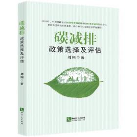 碳减排路径与绿色创新激励机制（气候变化与能源经济研究丛书）