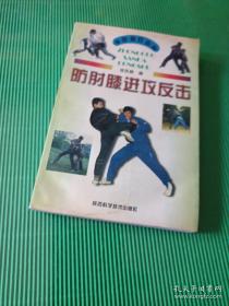 武术散打技法
