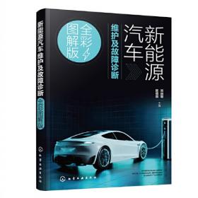 新能源汽车蓝皮书：中国新能源汽车产业发展报告（2013）