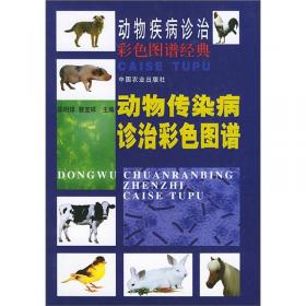 家畜传染病学实验指导（第三版）/全国高等农业院校教材