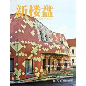 新楼盘25：图解地产与设计上海名家