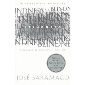 Blindness and Insight：Essays in the Rhetoric of Contemporary Criticism (Theory and  History of Literature)