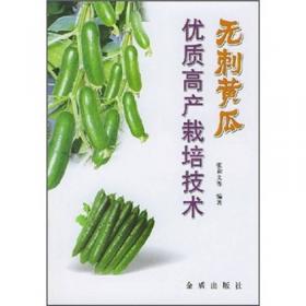 紫苏·菊苣·生菜优质高产实用技术