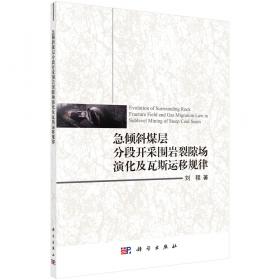 急倾斜煤层安全高效开采技术/临沂矿业集团十大采矿技术丛书