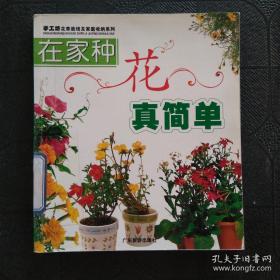 在家森呼吸：室内绿植手册