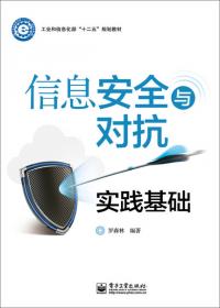 国家精品课程主讲教材·高等学校信息安全系列教材：信息安全对抗系统工程与实践