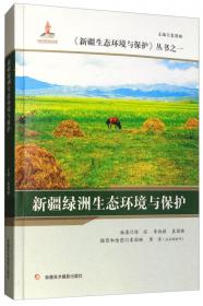 新疆高原与高山冰川生态环境与保护/《新疆生态环境与保护》丛书