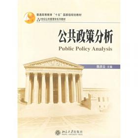 公共政策概论（第2版）